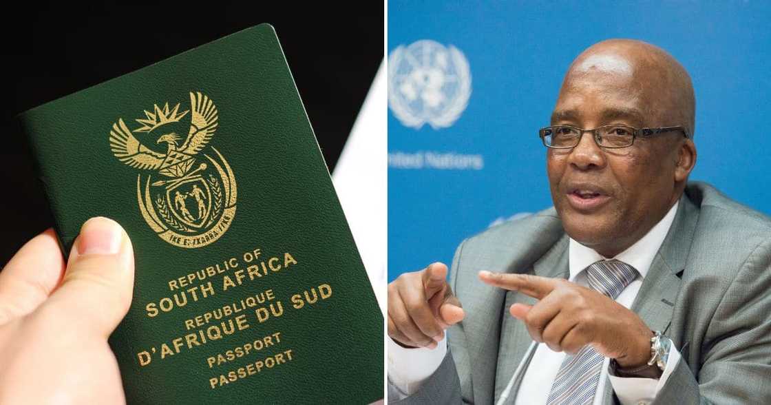 Department of Home Affairs, foreign nationals, home affairs officials, fake SA IDs, passports, Aaron Motsoaledi Department of Home Affairs, foreign nationals, home affairs officials, fake SA IDs, passports, Aaron Motsoaledi
