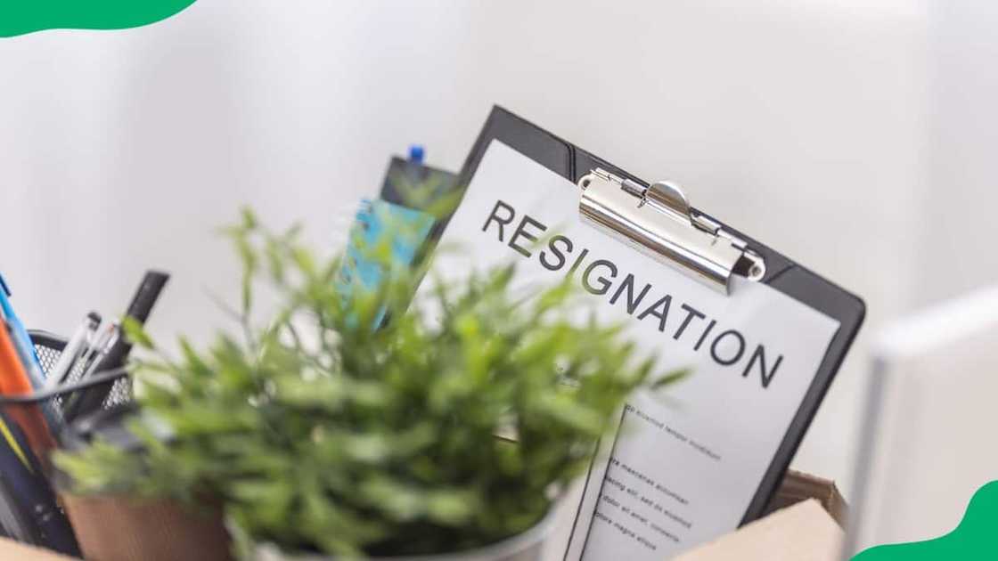 What does it mean when the status says cancelled by Paymaster? What does it mean when the status says cancelled by Paymaster?