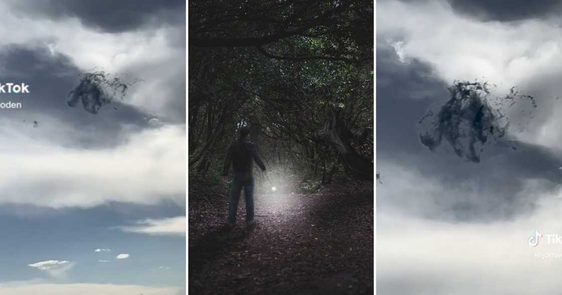 Harry Potter dementor Harry Potter dementor