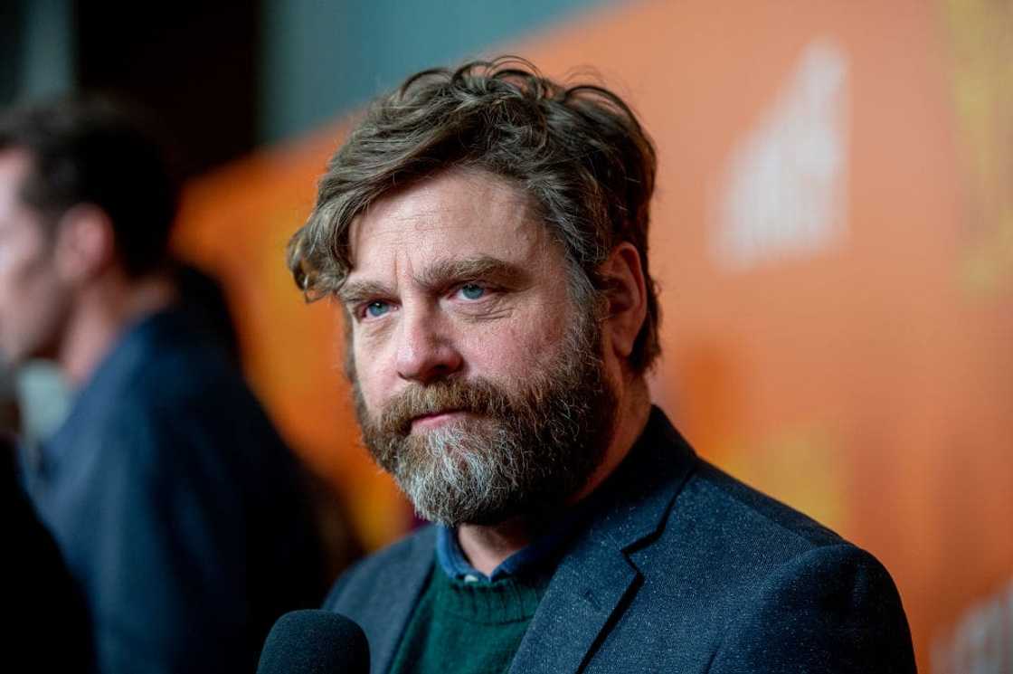 Zach Galifianakas's career