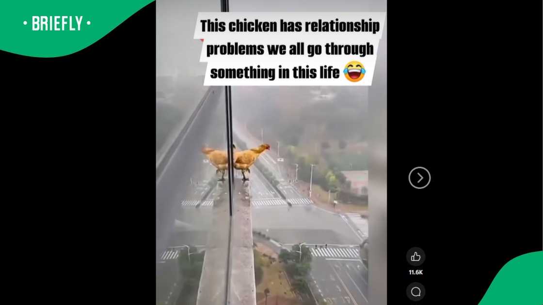 A post went viral. A post went viral.