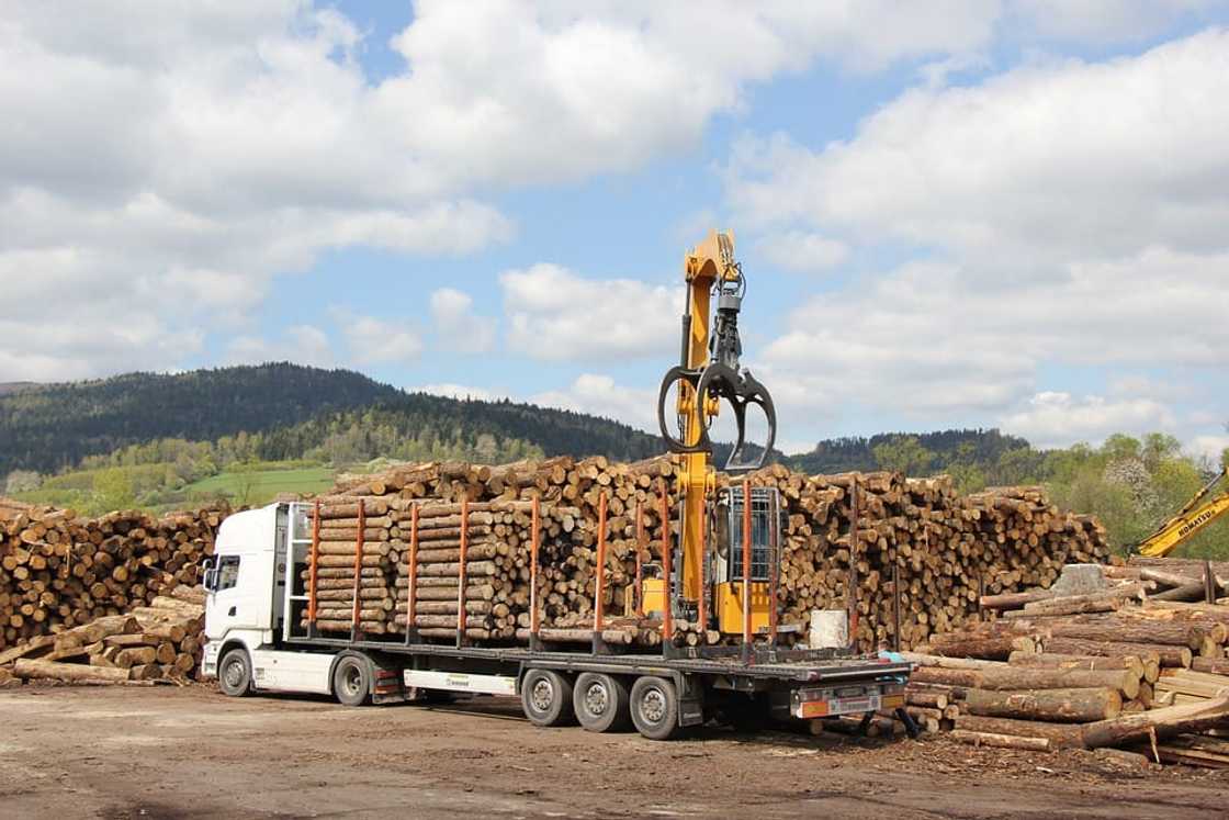 logistics companies in South Africa logistics companies in South Africa