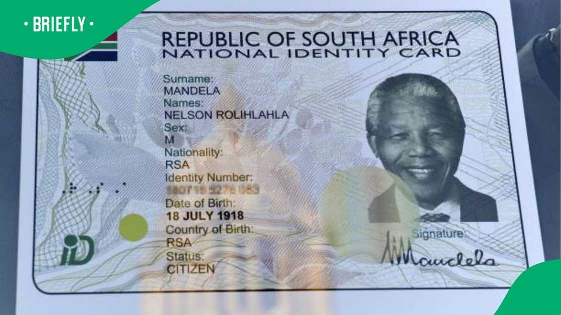 SA drivers licence SA drivers licence
