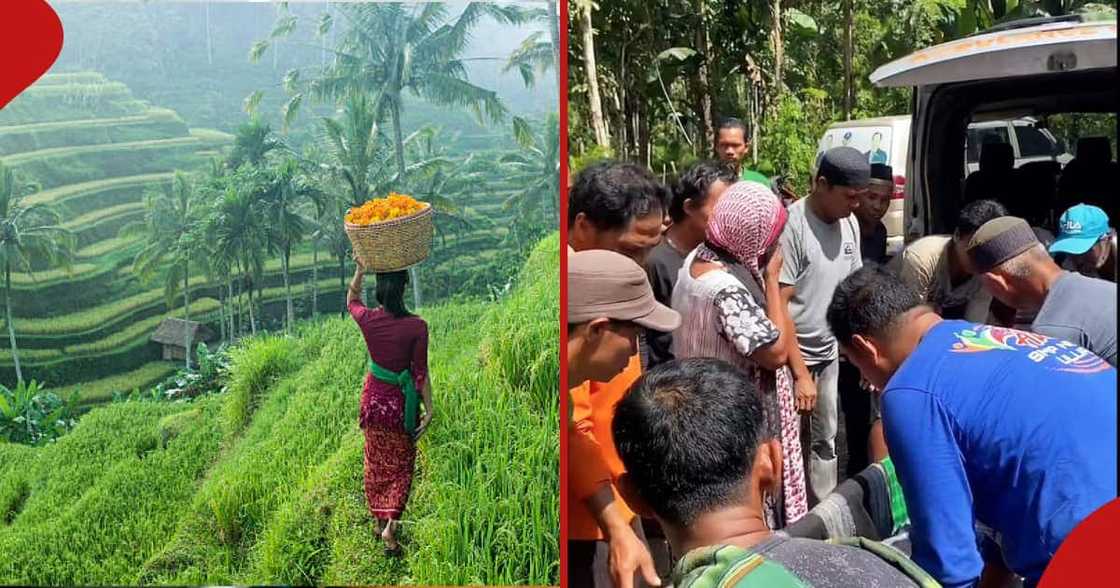 Collage of an Indonesian woman with a basked on her head, and the search party that found Farida's body.