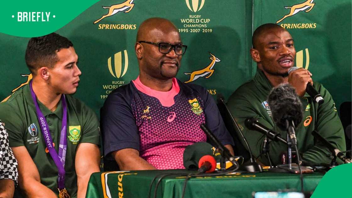 Cheslin Kolbe, Nathi Mthethwa, Makazole Mapimpi