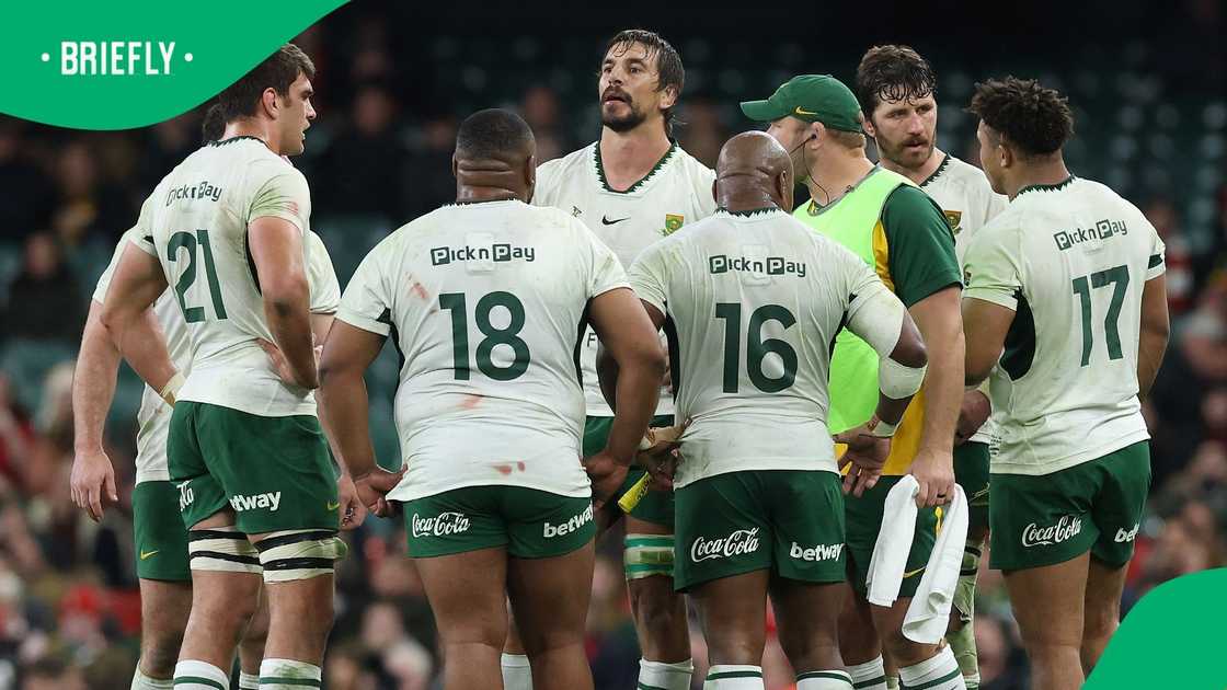 Asenathi Ntlabakanye, Springboks, South Africa