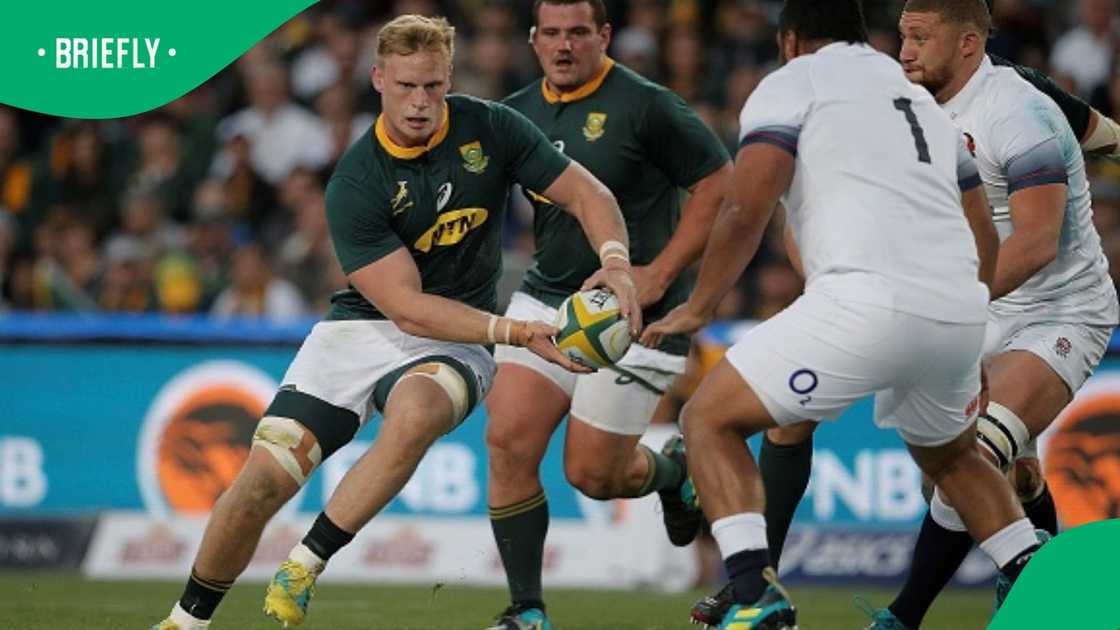 Springboks, Jean-Luc du Preez, South Africa Springboks, Jean-Luc du Preez, South Africa