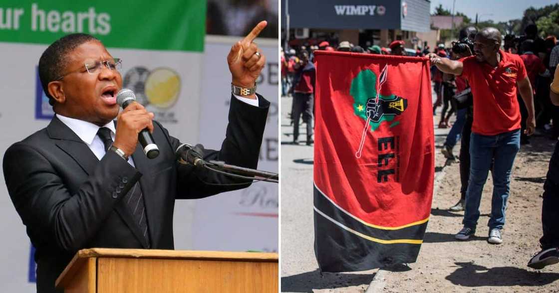 Fikile Mbalula believes the EFF stole ANC’s resolutions Fikile Mbalula believes the EFF stole ANC’s resolutions