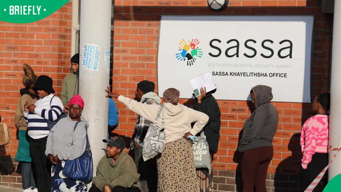 SASSA SASSA