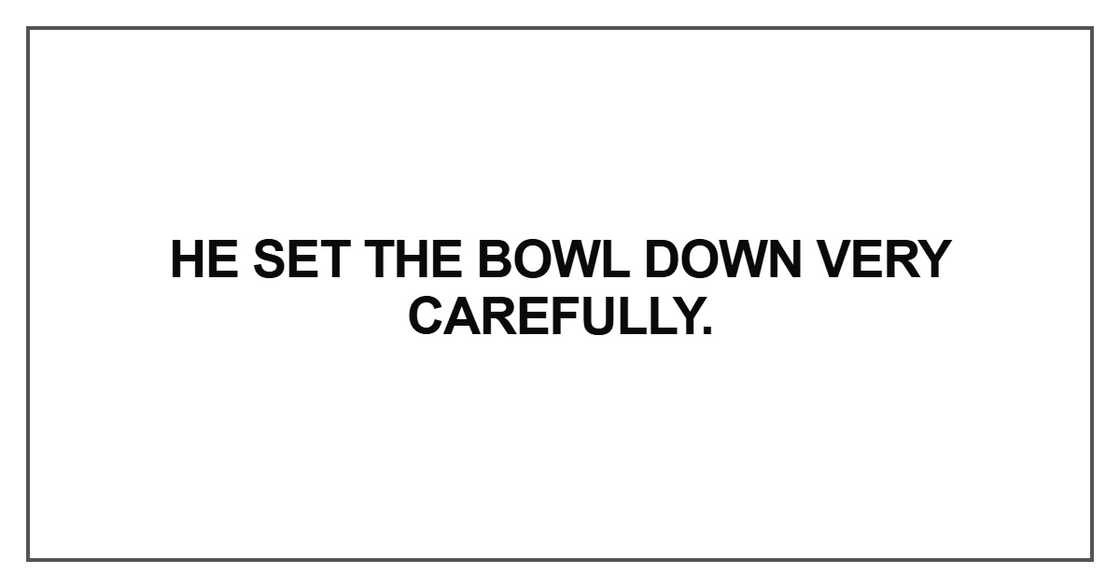 He set the bowl down very carefully He set the bowl down very carefully