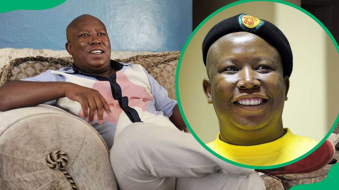 What tribe is Julius Malema?