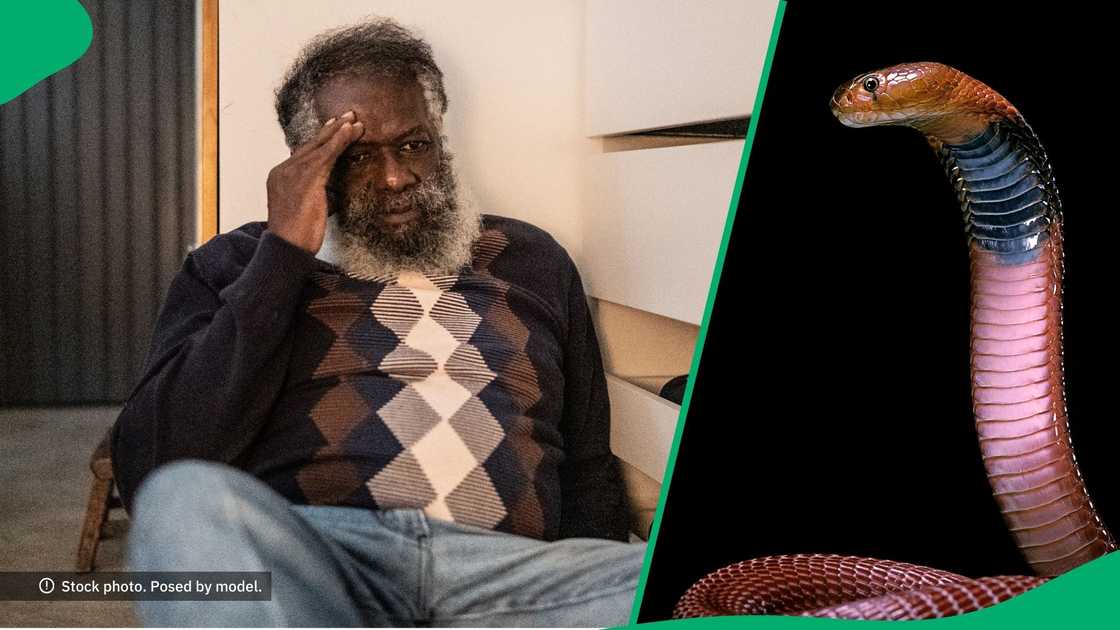 Man finds cobra in his room and shares video Man finds cobra in his room and shares video