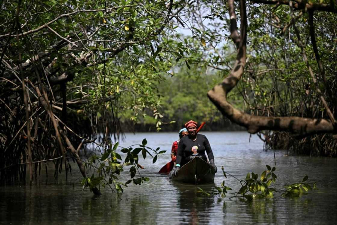 Marcelina Moreno says the port would have brought destruction to the mangroves Marcelina Moreno says the port would have brought destruction to the mangroves