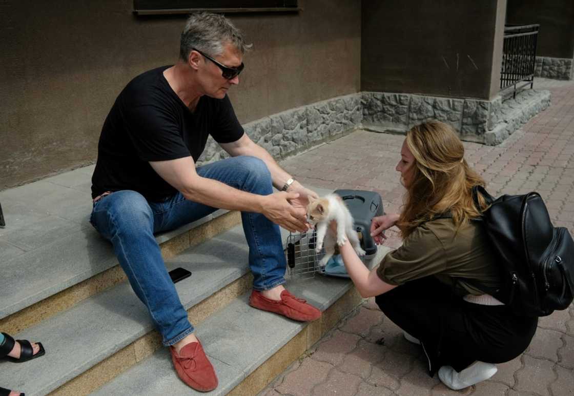 When two young women arrived with abandoned kittens, the former mayor immediately turned to the new task When two young women arrived with abandoned kittens, the former mayor immediately turned to the new task