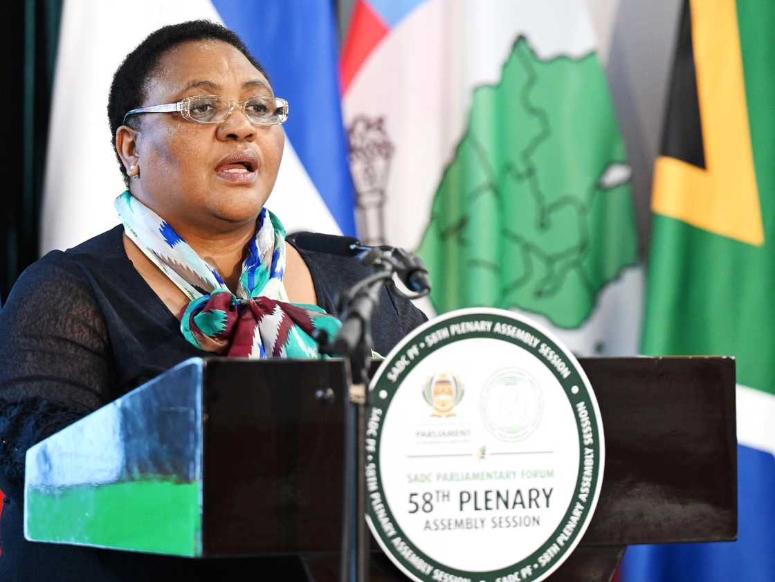 Thoko Didiza responded to the Ad Hoc Committee's decision to subpoena Brown Mogotsi