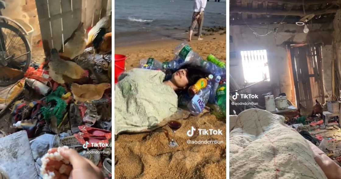 TikTok man living in filth TikTok man living in filth