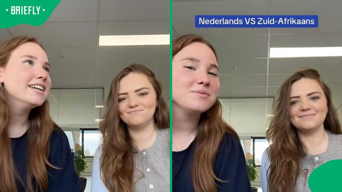 Women compared Dutch and Afrikaans. Women compared Dutch and Afrikaans.
