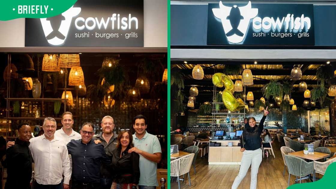Cowfish restaurant Cowfish restaurant