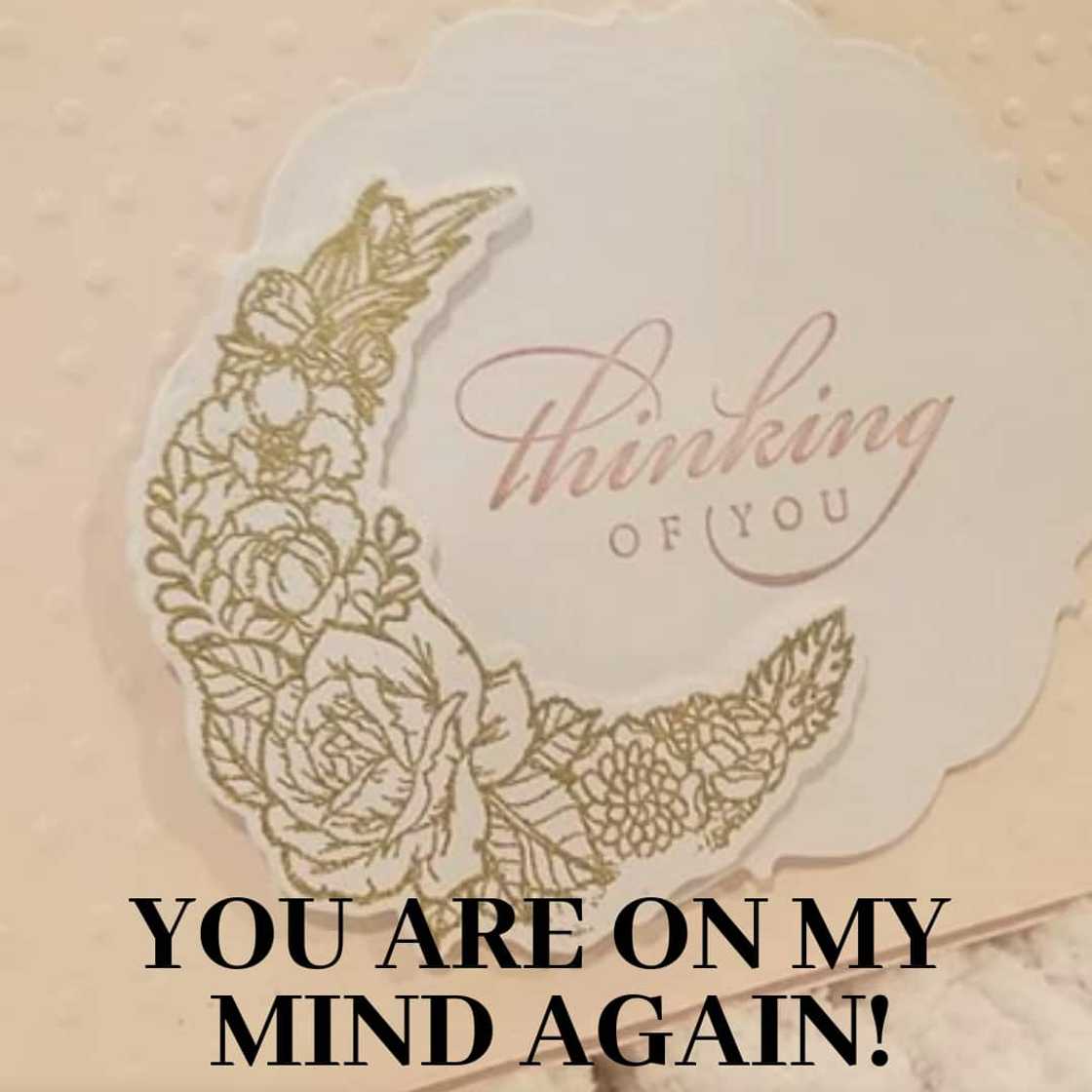 40 cute thinking of you quotes with images 40 cute thinking of you quotes with images