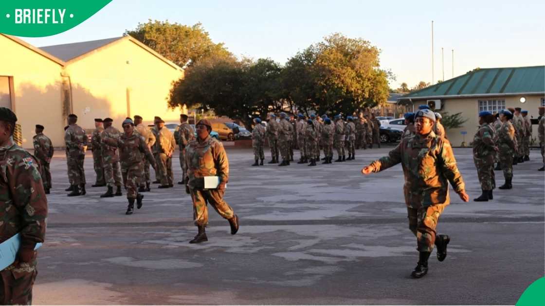 SANDF
