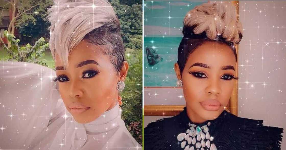 Zandie Khumalo sings 'Ikhwela' Zandie Khumalo sings 'Ikhwela'