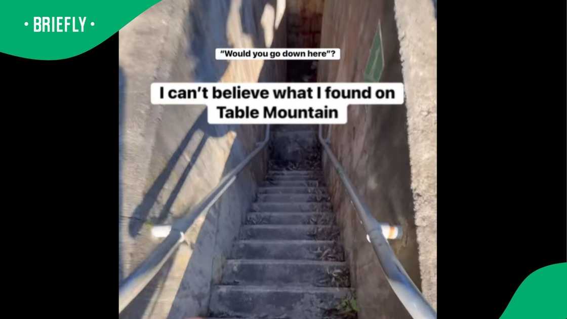 A young man shared a video showing an interesting find. A young man shared a video showing an interesting find.