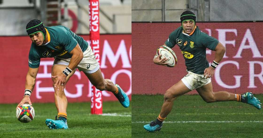 Mzansi, Stans, Cheslin Kolbe, Rugby