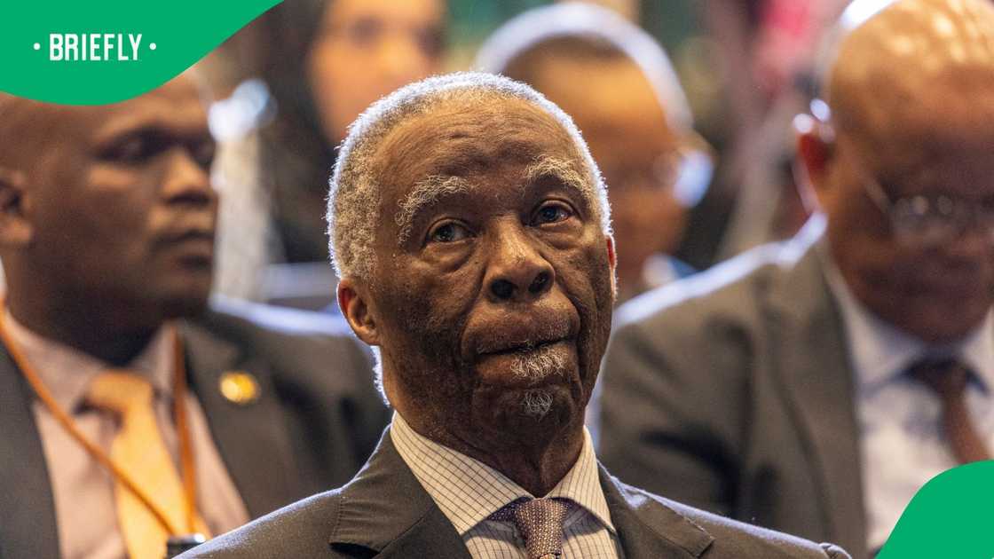 Former President Thabo Mbeki slammed recent anti-illegal immigration marches