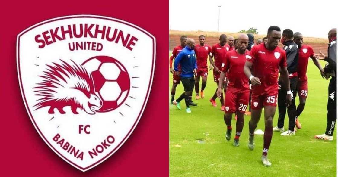 Sekhukhune United have won their case against the PSL and Polokwane City. Image: @SekhukhuneFC/Twitter Sekhukhune United have won their case against the PSL and Polokwane City. Image: @SekhukhuneFC/Twitter