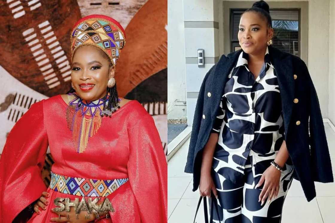 sibongile and the dlaminis story sibongile and the dlaminis story
