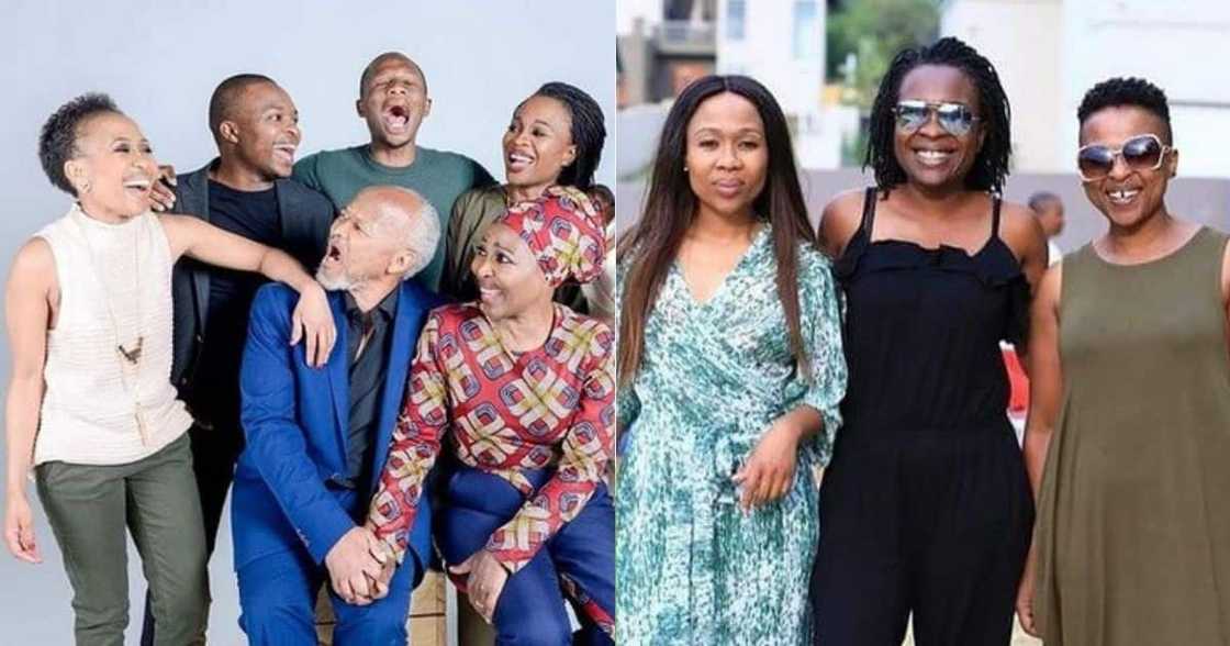 'The Ranakas', coming back, 5th season 'The Ranakas', coming back, 5th season