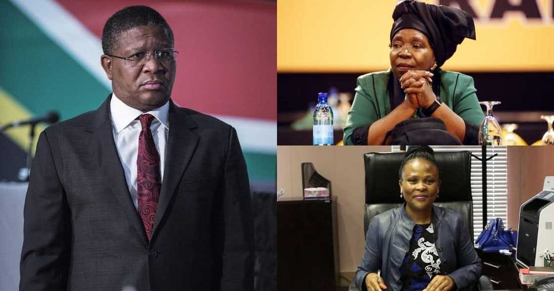 Mbalula apologises to NDZ, ready for Mkhwebane in court Mbalula apologises to NDZ, ready for Mkhwebane in court