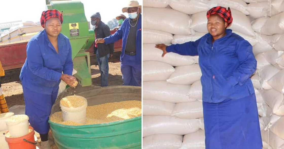 Nombewu Transitioned From High Heel Wearing Business Lady to Gum Boot Wearing Award Winning Farmer Nombewu Transitioned From High Heel Wearing Business Lady to Gum Boot Wearing Award Winning Farmer