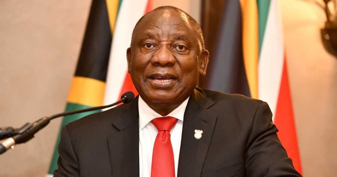 Cyril Ramaphosa, new leaked report, basic income grant, debates