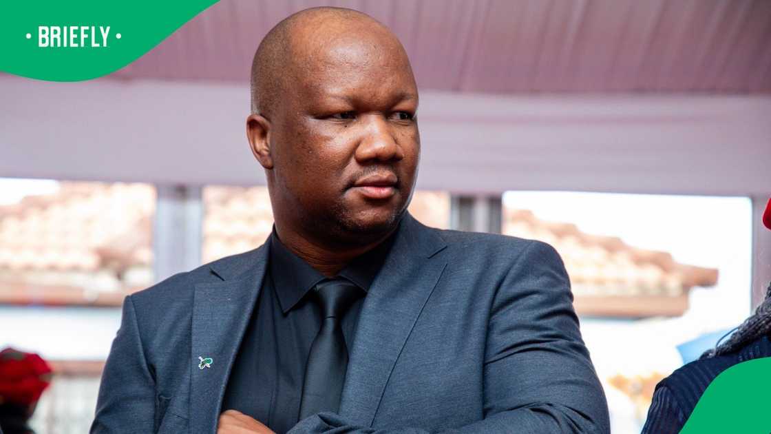 Marshall Dlamini said that Mbuyiseni Ndlozi would not be a mayoral candidate for the party in Johannesburg