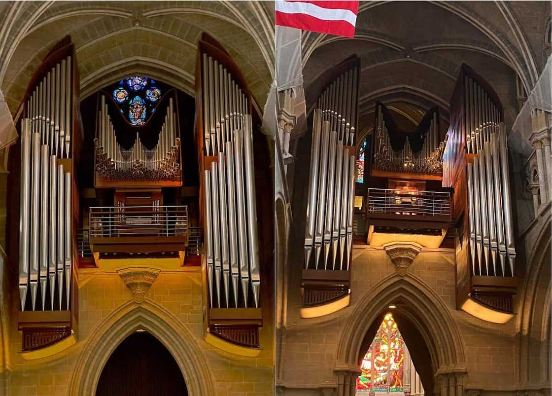 What is the most expensive woodwind instrument? What is the most expensive woodwind instrument?