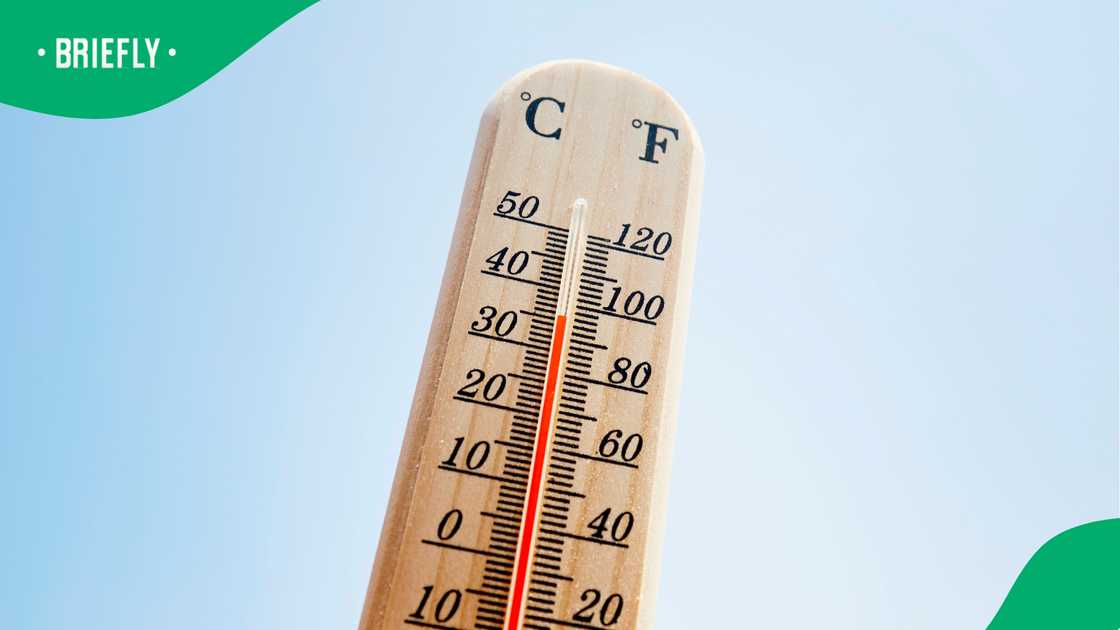 A powerful El Niño could change SA’s summer forecast, with SAWS revealing what lies ahead.