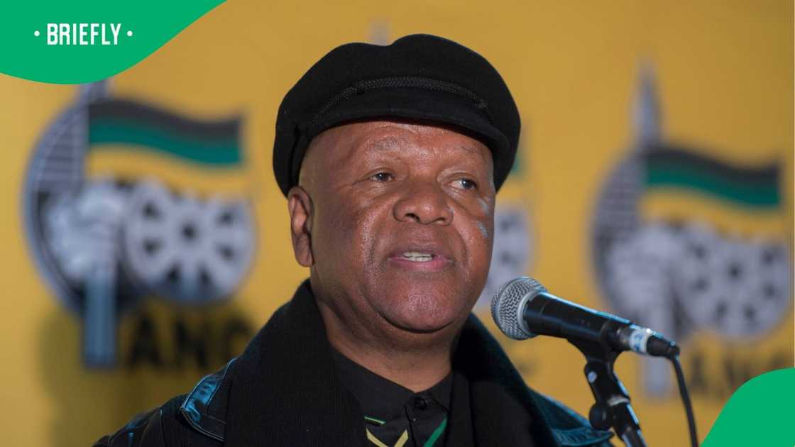 Jeff Radebe has weighed in on the ANC's struggles in KZN Jeff Radebe has weighed in on the ANC's struggles in KZN