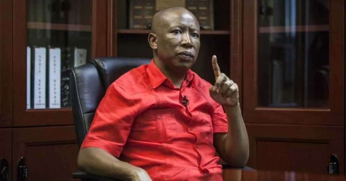 Hashtag #IfWeAllSpokeLikeJulius Trends as Mzansi Reflects on Malema Hashtag #IfWeAllSpokeLikeJulius Trends as Mzansi Reflects on Malema