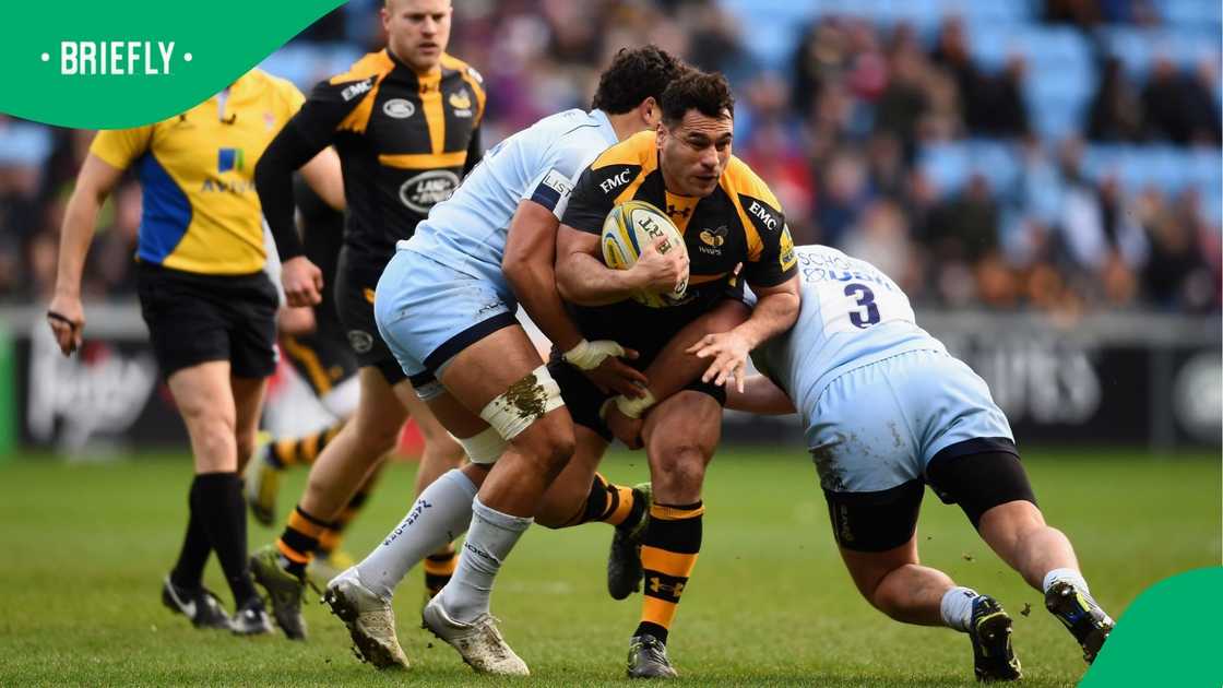 George Smith, Wasps, Nick Schnert, Worcester Wasps George Smith, Wasps, Nick Schnert, Worcester Wasps
