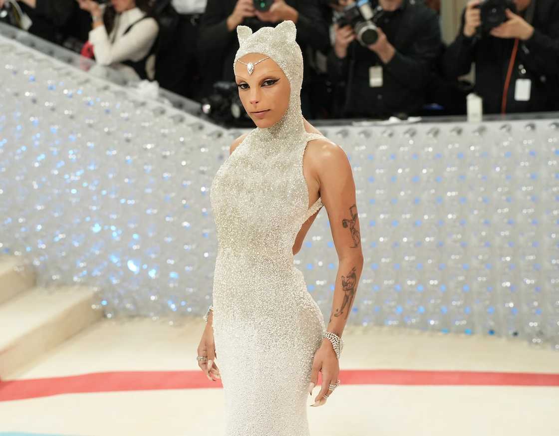 Doja Cat dressed as a cat at the Met Gala Doja Cat dressed as a cat at the Met Gala