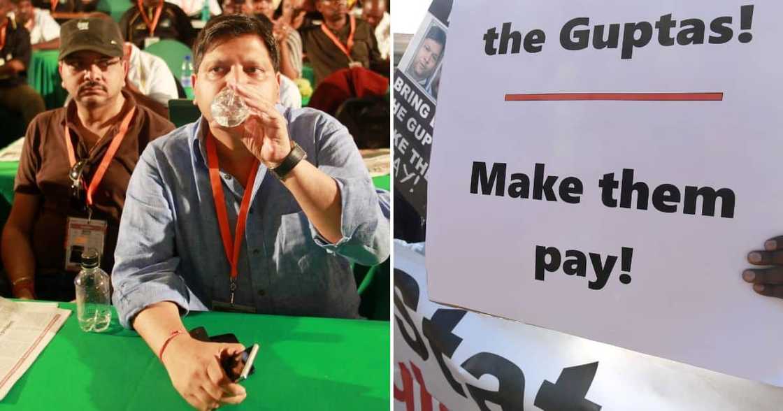 DA, OUTA, Gupta brothers, arrests, dubai, state capture DA, OUTA, Gupta brothers, arrests, dubai, state capture