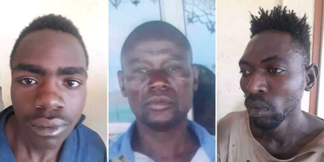 Limpopo prison escape Limpopo prison escape