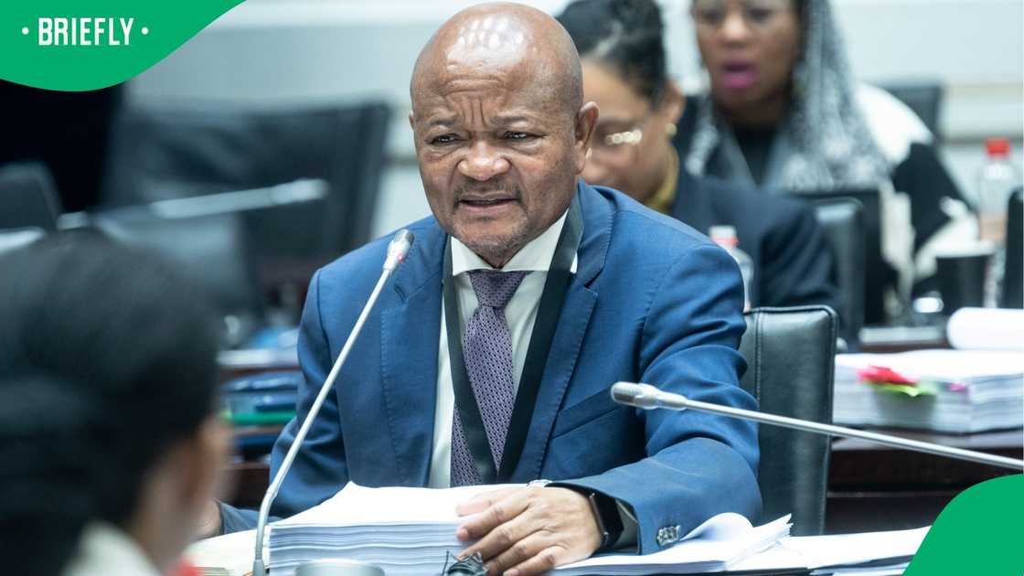 Senzo Mchunu faced tough questions over his failure to produce evidence he claimed to have Senzo Mchunu faced tough questions over his failure to produce evidence he claimed to have
