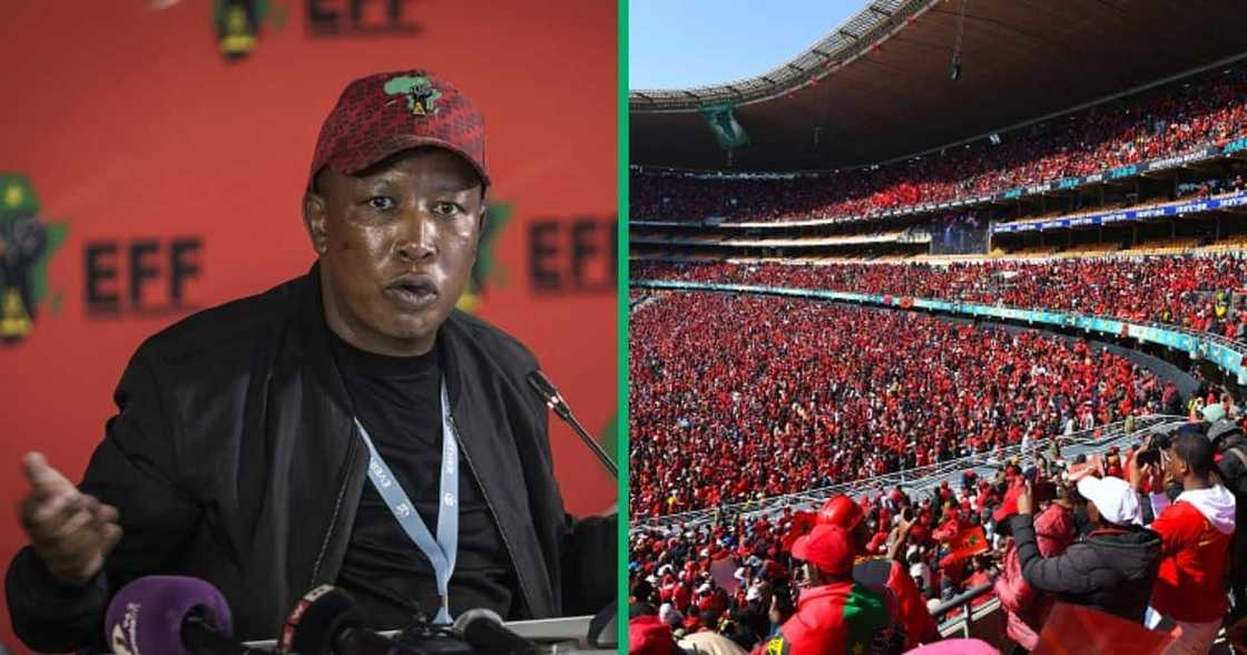 EFF, Julius Malema