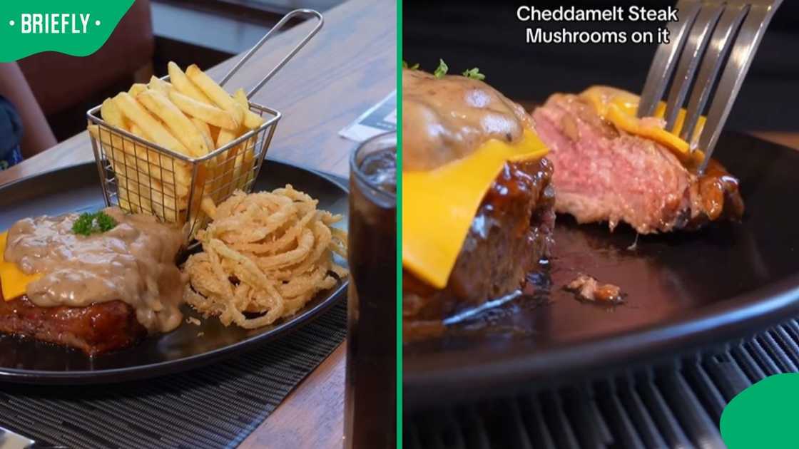 Spur's Cheddamelt steak with mushroom sauce.