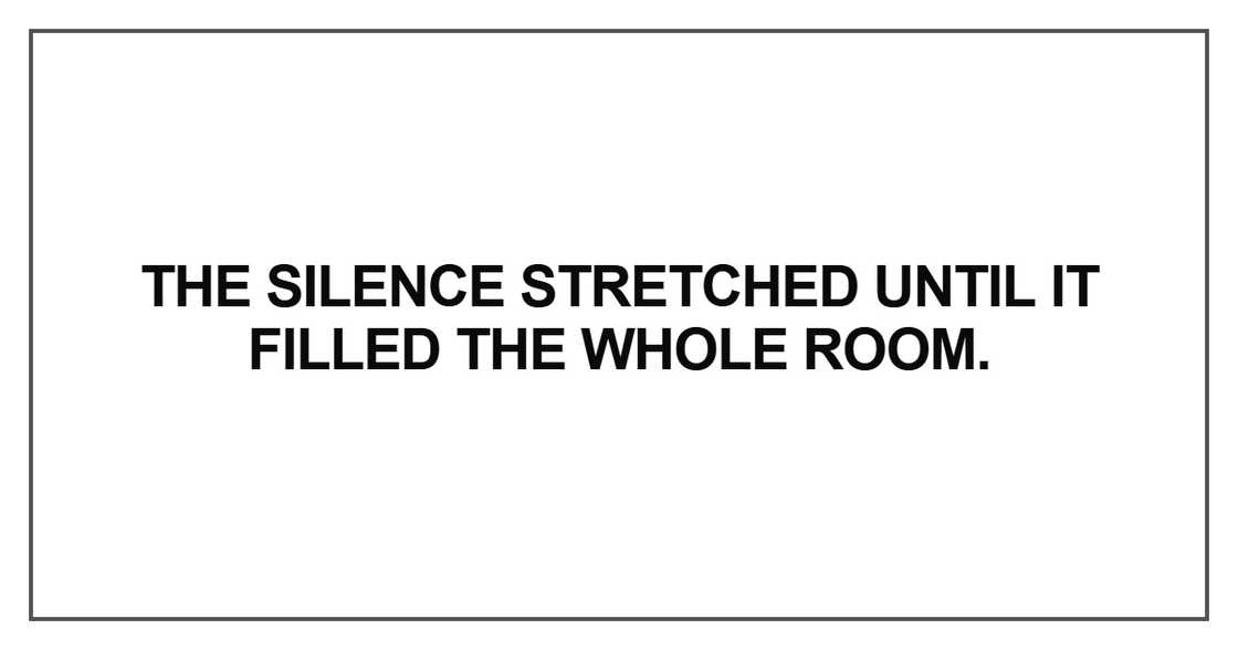 The silence stretched until it filled the whole room