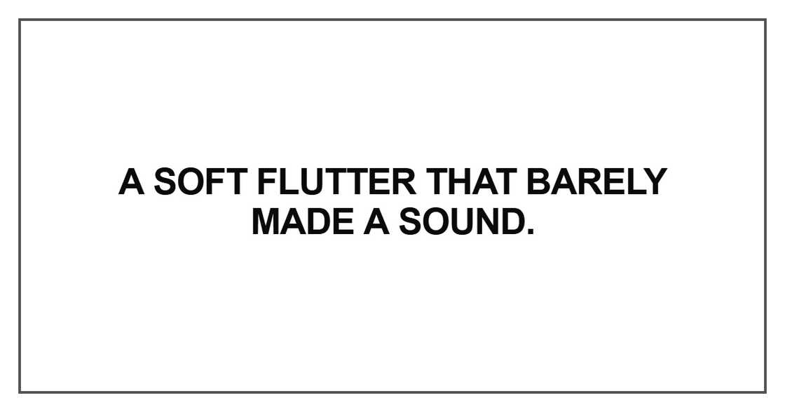 A soft flutter that barely made a sound