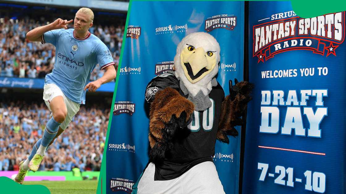 Fantasy football names Fantasy football names