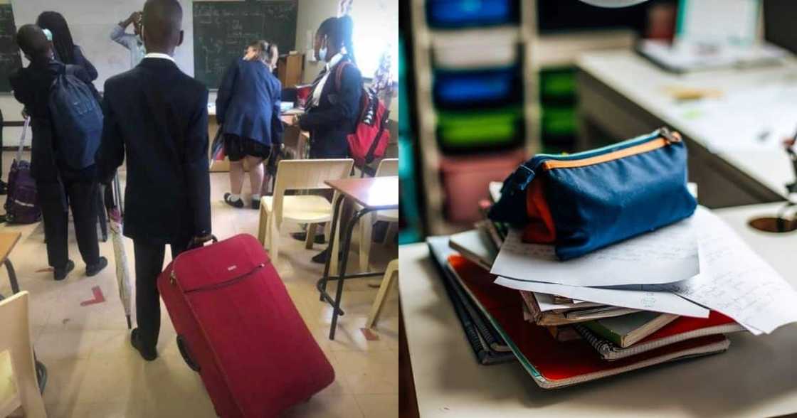 School kid, school supplies, school uniform, suitcase bag, trending news, viral post School kid, school supplies, school uniform, suitcase bag, trending news, viral post